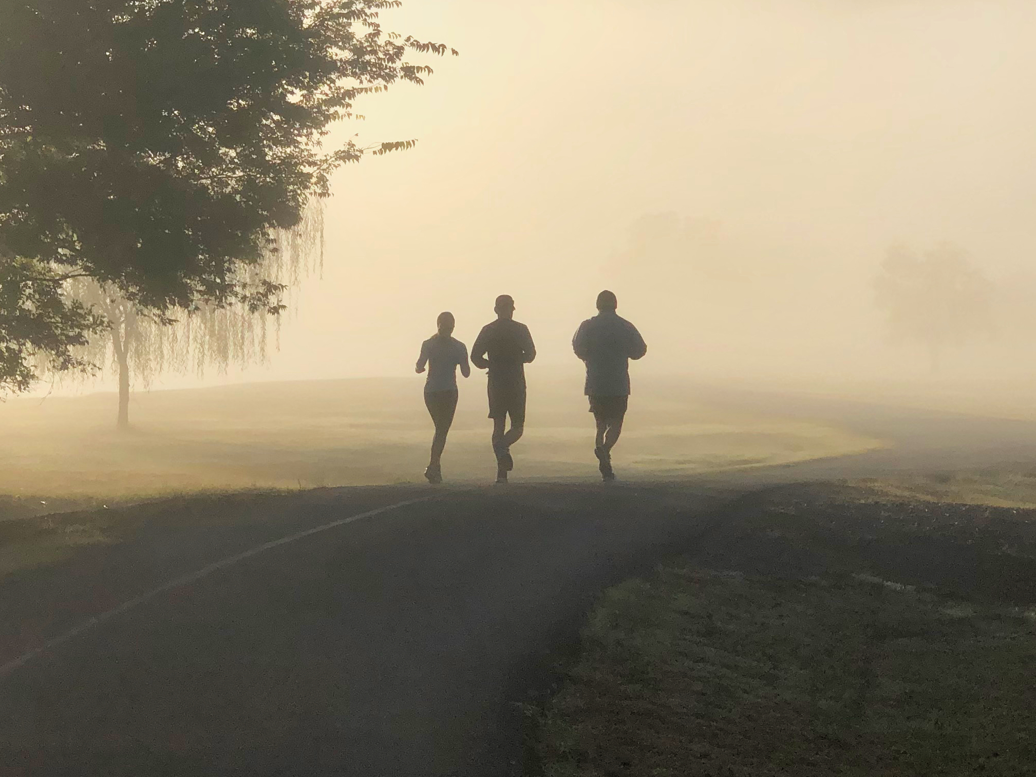 foggy morning run